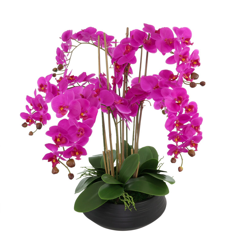 Centre de table orchidée dans un pot en céramique, Rose