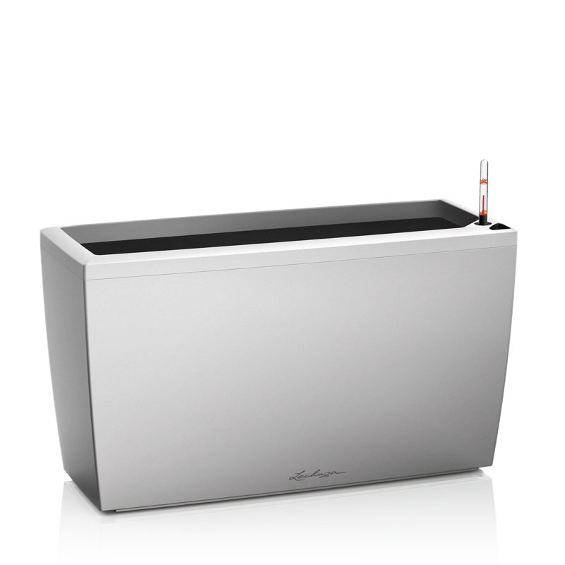 Cararo Pot Planter