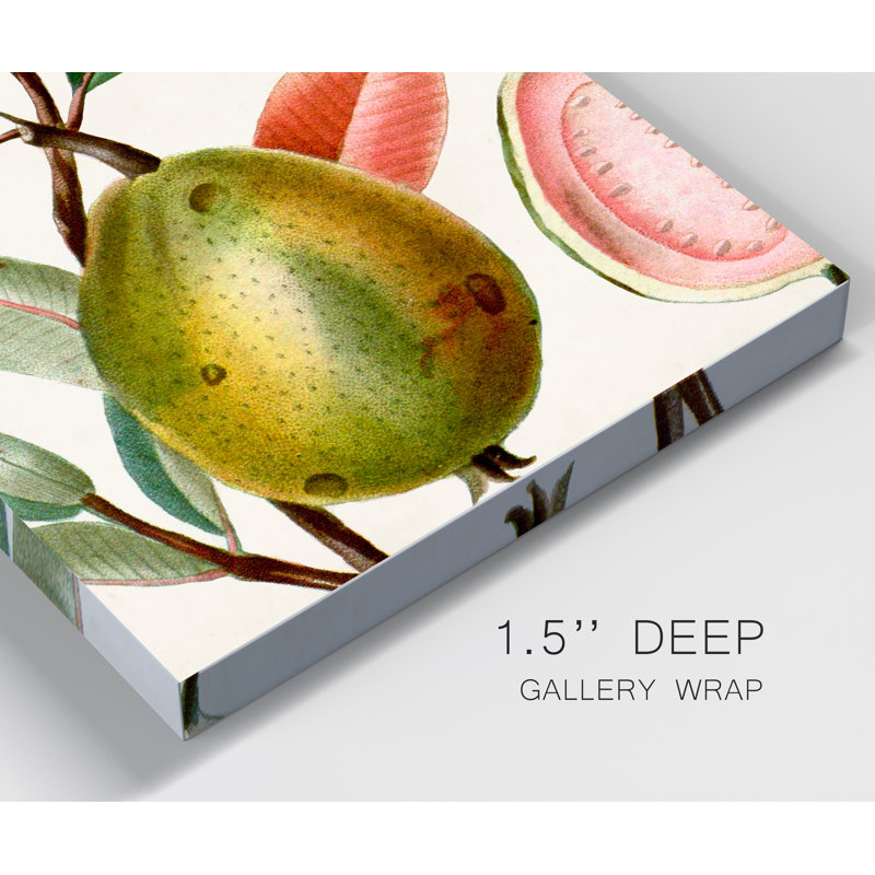 Reproduction d’art sur toile tendue « Turpin tropical fruit IX », H 36 po x l 24 po x P 1 po