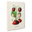 An Illustration of Strawberries - Wrapped Canvas-55304345