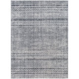Baksi Grey Area Rug