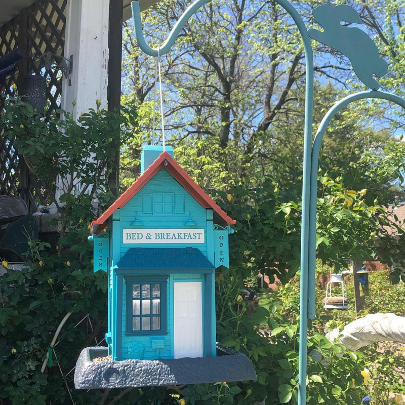BED & BREAKFAST BIRDFEEDER