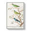 Three Hummingbirds by A.B. De Boodt - Wrapped Canvas-55358277