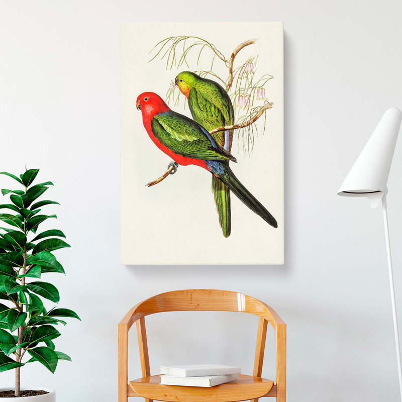 King Lory Parrot by Elizabeth Gould - Wrapped Canvas, 50cm H x 35cm W x 3cm D