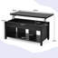 Lift Top Coffee Table with Storage