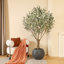 Akita 7' Faux Olive Tree