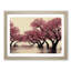 Thrilling Cherry Blossom Trees - Single Picture Frame Print-1925743672-1925743679