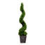 45 plantes