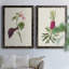 Pretty Pink Botanicals VI - 2 Piece Single Picture Frame Painting on Canvas-634548709-634549776