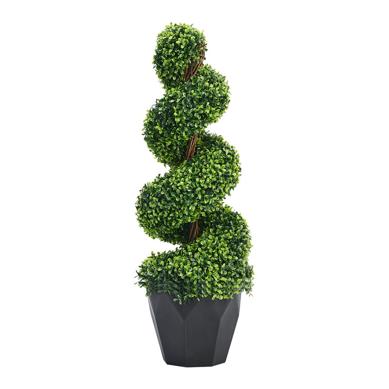 90cm Plant