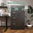 Metal Storage Vertical Filing Cabinet With Lock, Steel File Locker With 4 Drawers And 1 Door For School, Living Room, Bedroom, Office (Black)