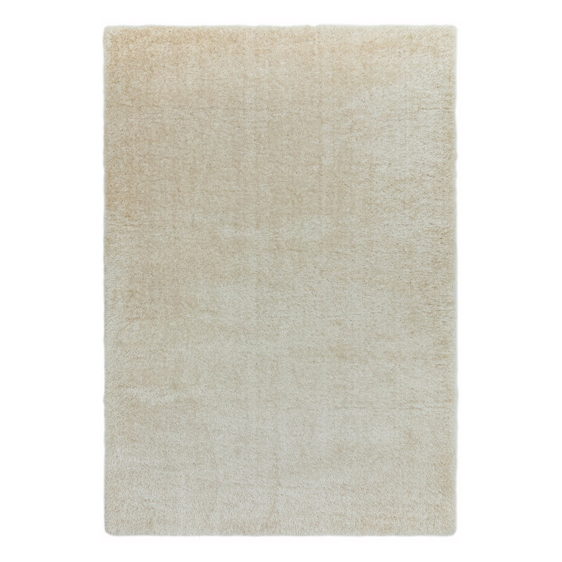 Natonia Shiny Shaggy Beige Area Rug, Rectangle 120 x 170cm