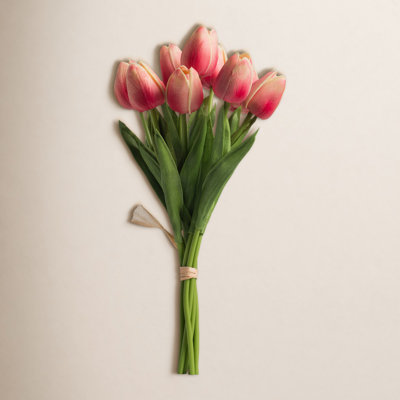 Tucson Tulip Stems