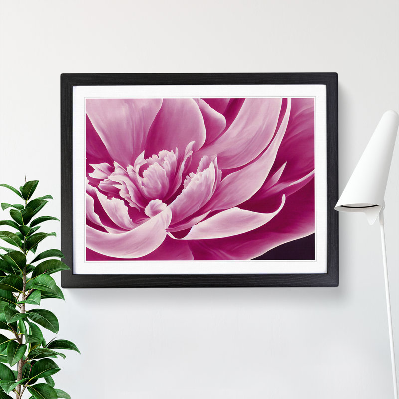 Awesome Peony Flower - Framed Print, Black, 25cm H x 34cm W x 2cm D