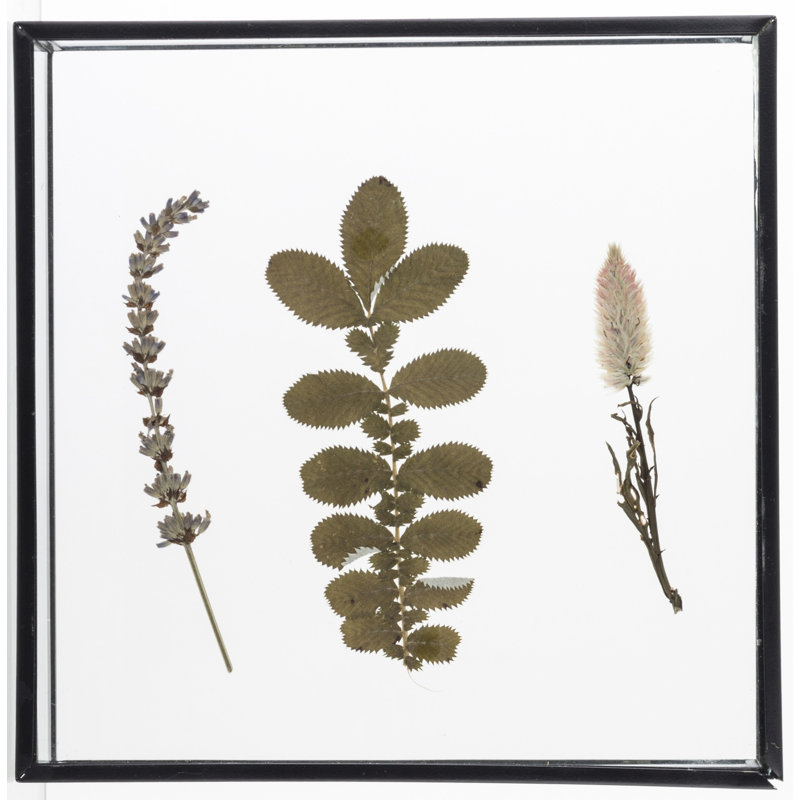 Thursa Tray