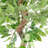 Faux Ficus Tree-112375804-112375805