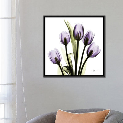 " Tulips Imagine " by Albert Koetsier