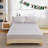 Kids/Teens Sports Fitted Sheet, 2-Pack – 2 Fitted Sheets + 4 Pillowcases (No Flat Sheet)-124410422-124410419