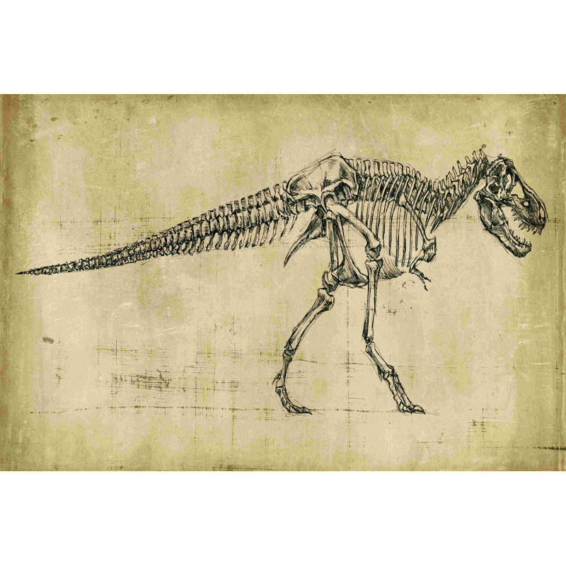 Tyrannosaurus Rex Study, H 8 po x l 12 po