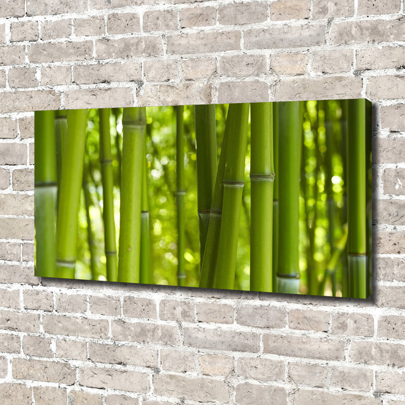 Bamboo - Wrapped Canvas Print