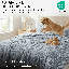 Ensemble d'édredon en microfibre 3 pièces -873928795-892178643