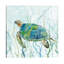 Sea Turtle Swim II by Carol Robinson - Print on Canvas-56677835-34180884