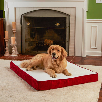 Lit orthopédique pour chien Lind Stockholm