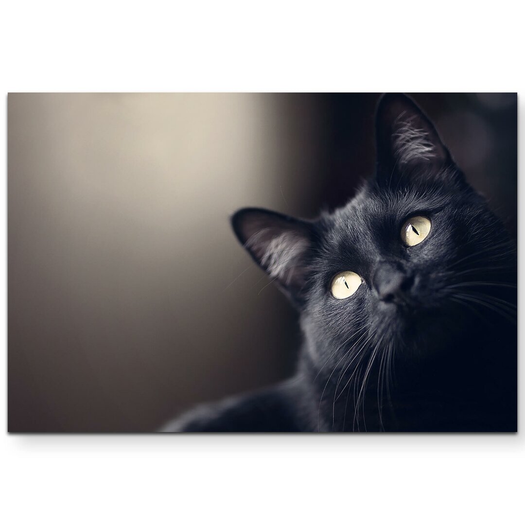 Leinwandbild Schwarze Katze - Portrait