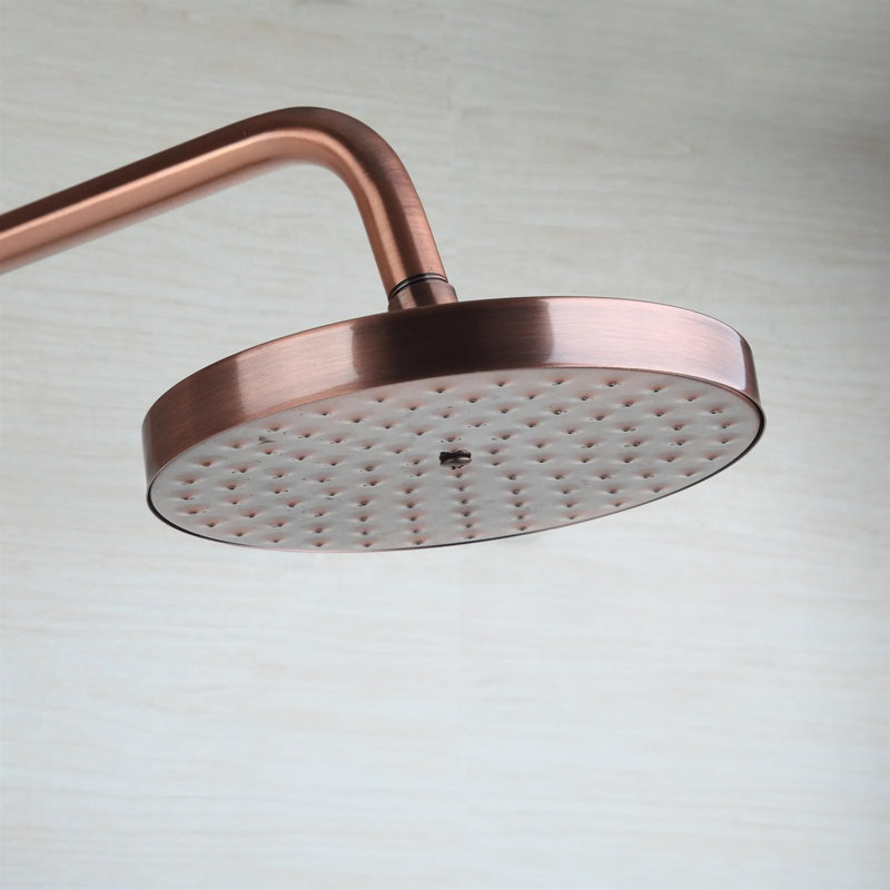 Pomme de douche pour salle de bain 8 po BathSelect