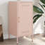 Ambreal Steel Accent Cabinet-905993512