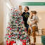 Lighted Artificial Christmas Tree