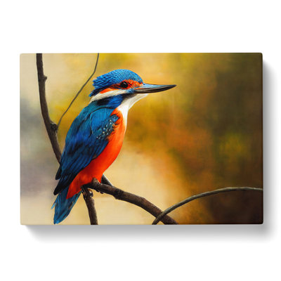 Supreme Kingfisher Bird - Wrapped Canvas