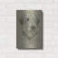 «Irish Wolfhound» par Barbara Keith-292862656