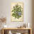 Harnek Victorian Flowering Plants