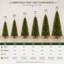 Faux Tree-410669527