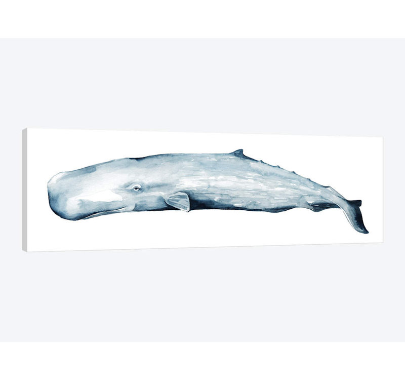 «Whale Portrait II», impression sur toile tendue, H 20 po x l 60 po x P 1,5 po, Toile tendue