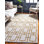 Corando Abstract Indoor Rug
