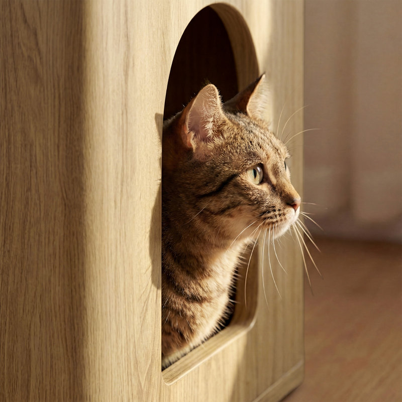 31,5 "Meuble pour bac à litière pour chat, grande armoire à litière cachée décorative pour les salons, les entrées ou les chambres à coucher