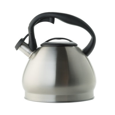 Latitude Run® 3oz. Stainless Steel Teapot