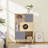 Furniture Style Modern Cat Bookcase Cat Tree Shelves With Storage