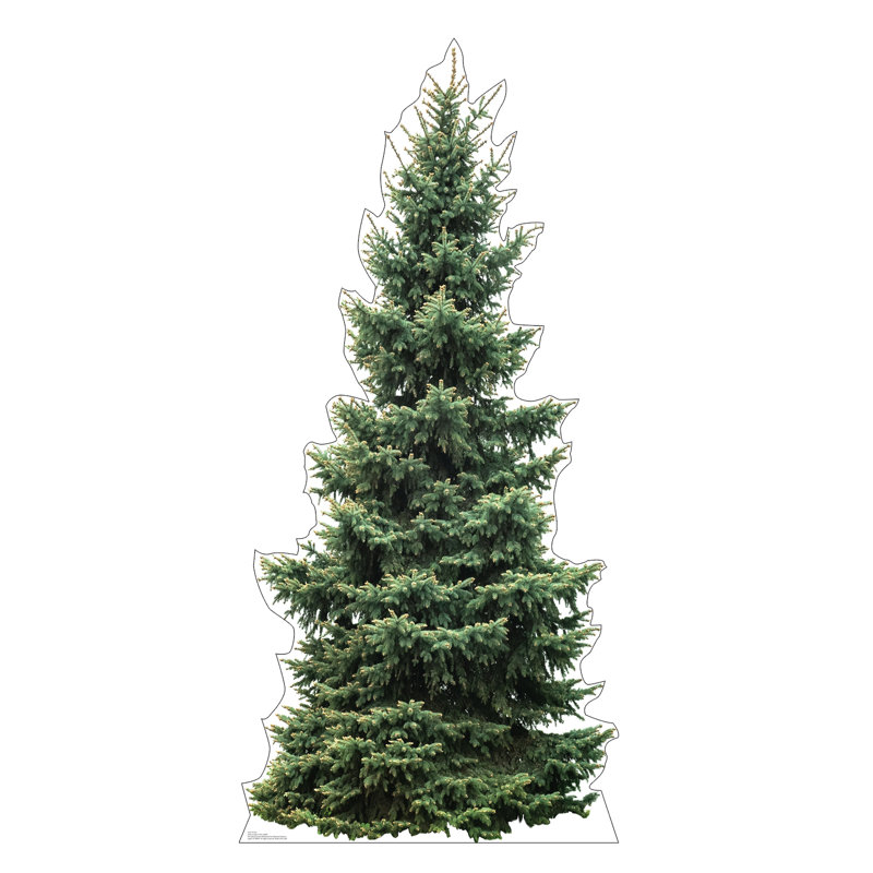 Fir Tree
