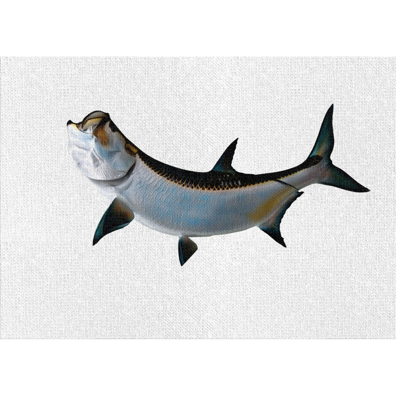 Tapis zone gris clair tarpon fish, Rectangle 2 pi x 3 pi