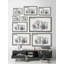 Succulent In Display Planters by Parvez Taj - Single Picture Frame Painting-331251827