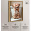 Mignonne Yorkie sur la toile -638360681-638360683