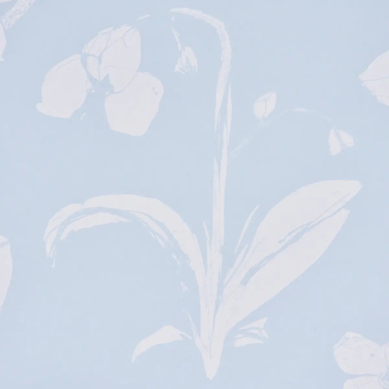 Schumacher x Hera Ford Orchids Have Dreams Wallpaper, Sky