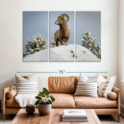 Brampt Winter Hilltop Bighorn Sheep