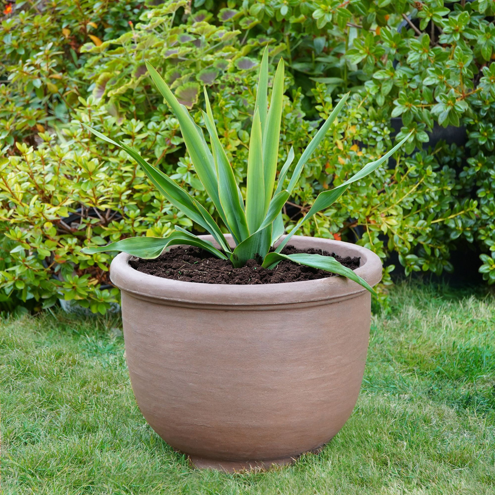 Leontion Plastic Pot Planter, Caviar Black, 17.25" H x 21.73" W x 21.73" D