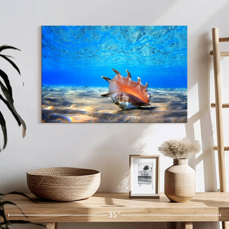 Aletra Seashell Treasure, H 16 po x l 24 po