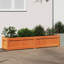 Bringier Garden Planter-1512320970-1512320969-1511378960