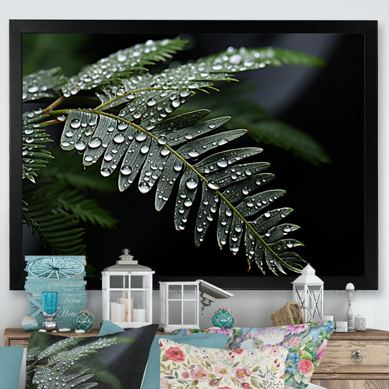 «Ferns Charm in Winter», reproduction sur toile, Cadre simple noir, H 24 po x l 32 po x P 1 po